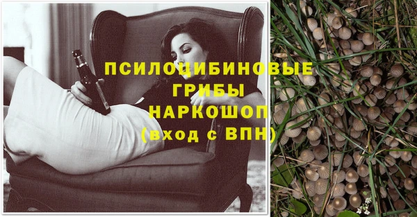 Альфа ПВП Алзамай