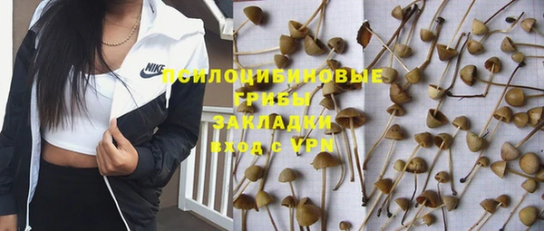 а пвп мука Абдулино