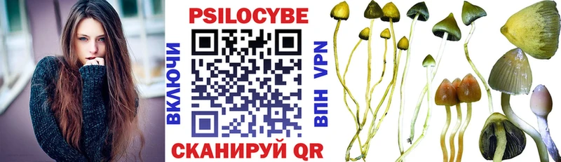 где купить   Котлас  Псилоцибиновые грибы Magic Shrooms 
