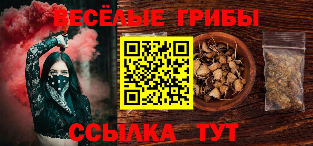 Галлюциногенные грибы Psilocybine cubensis  купить наркоту  Вход с VPN  Котлас  Псилоцибиновые грибы Psilocybine cubensis 