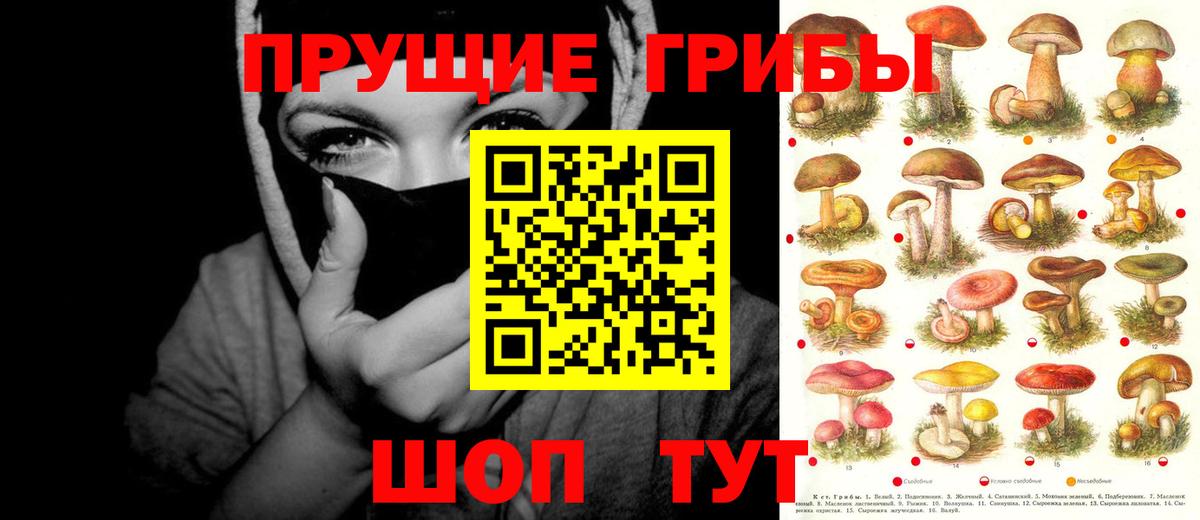 Гашиш  Вход с VPN  LSD-25  МДМА  Котлас  МАРИХУАНА  A-PVP СОЛЬ   ГАШИШ  ЭКСТАЗИ  Меф  